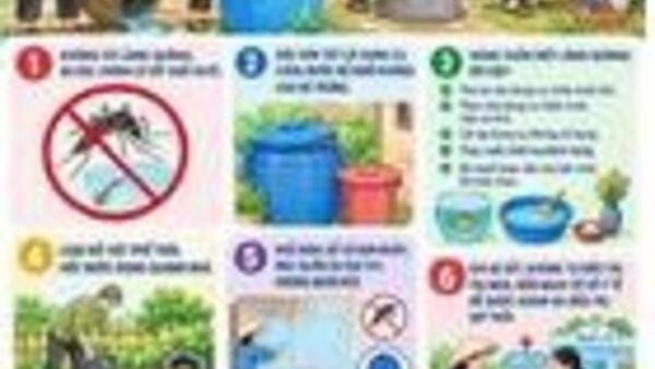 🚨 PHÒNG, CHỐNG BỆNH SỐT XUẤT HUYẾT